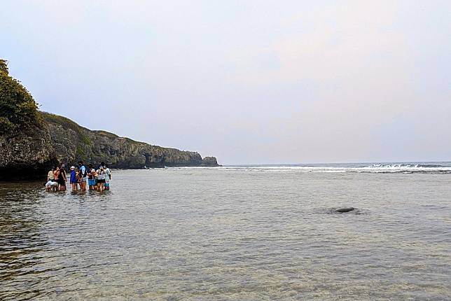 小琉球潮間帶近年因生物量減少，縣府徵收觀光保育費，以價制量救生態。攝影：李育琴