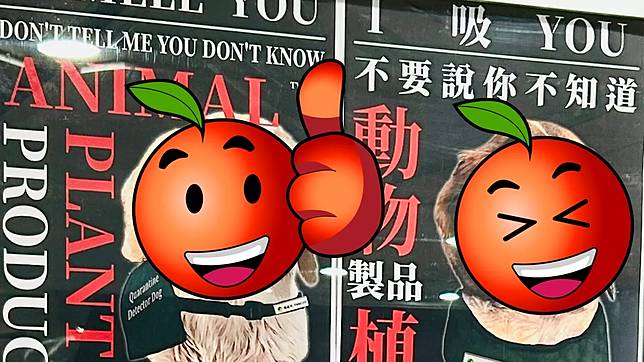 台灣機場檢疫犬海報引發日本網友熱議。翻攝自X @bonkuretaiwan