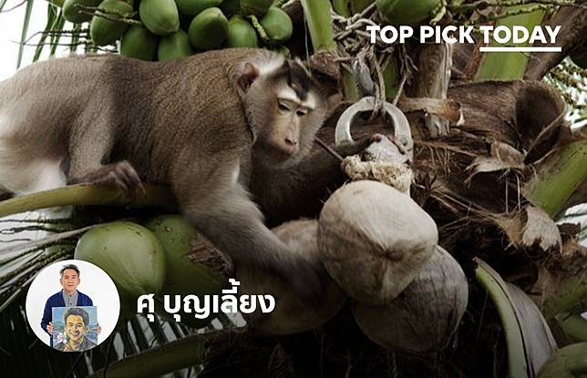 ขอบคุณภาพจาก <a href=