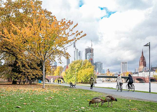 This photo taken on Nov. 8, 2023 shows autumn scenery along the river Main in Frankfurt, Germany. (Xinhua/Zhang Fan)