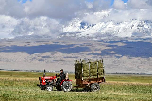 A herdsman drives his tractor loaded with reaped forage grass in Taxkorgan Tajik Autonomous County, northwest China's Xinjiang Uygur Autonomous Region, Aug. 27, 2023. (Xinhua/Hu Huhu)