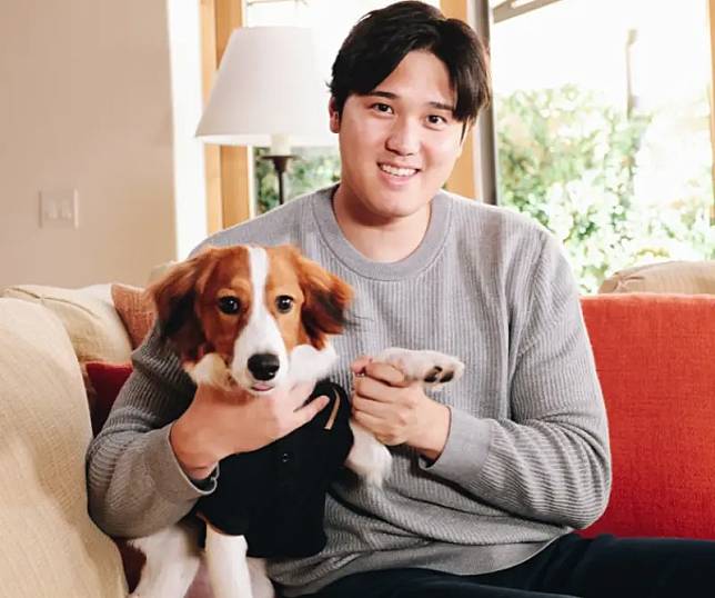 ▲大谷翔平透露今年有愛犬「Decoy」加入生活，讓休賽季時在生活上增添不少樂趣。（圖／取自大聯盟官方推特）