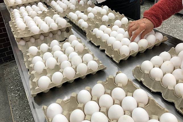 解蛋荒 首批進口雞蛋23日由日本抵台