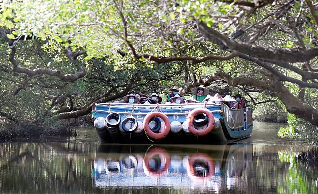 「綠色隧道」生態旅遊農曆春節不打烊。（記者陳治交攝）