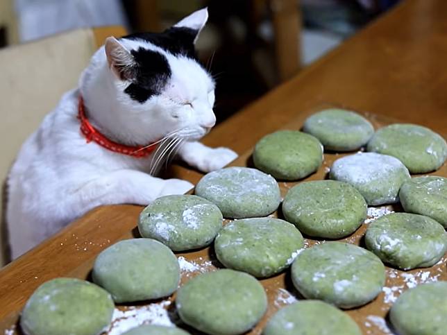 「貓咪品管員」監督奶奶手作草餅　瞇眼檢查：偶覺得很可以！