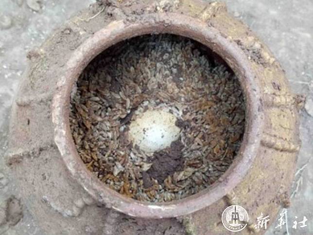 จีนขุดสุสานโบราณ พบ ‘ไข่’ ยังไม่แตก อายุกว่า 500 ปี