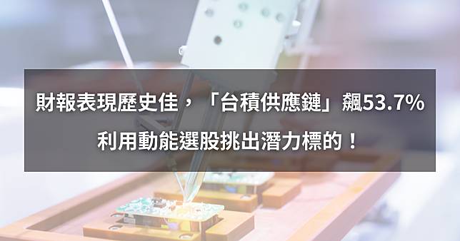 【個股分析】財報表現歷史佳，「台積供應鏈」大漲53.7%。利用動能選股挑出潛力標的！