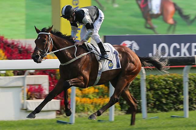 Exultant wins the Group Two Jockey Club Cup under Zac Purton at Sha Tin. Photos: Kenneth Chan