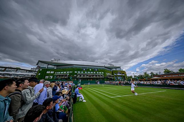 圖：（圖：Wimbledon.com / 博斯運動）