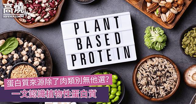 【蛋白質】蛋白質來源除了肉類別無他選？一文認識植物性蛋白質