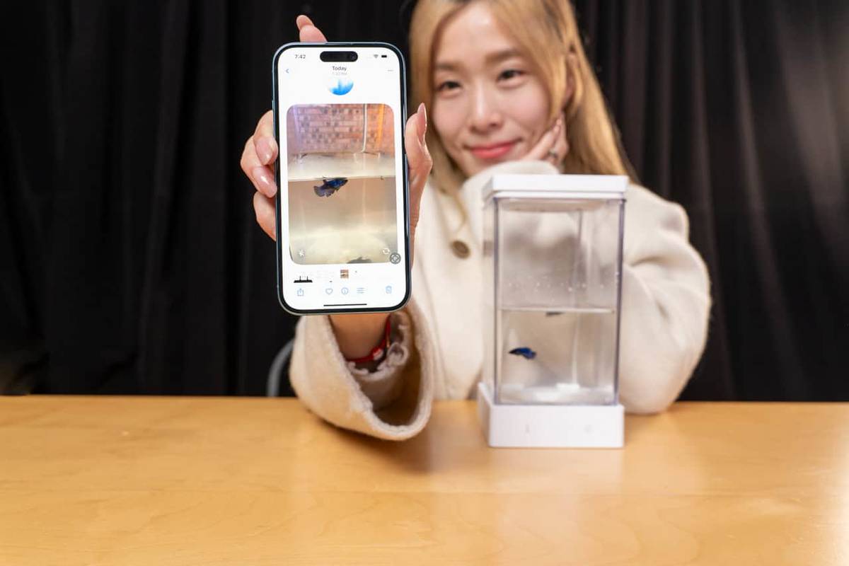 教學】ChatGPT 視像隔空教你養魚用相機攝取現場環境實時AI 回應用 ...