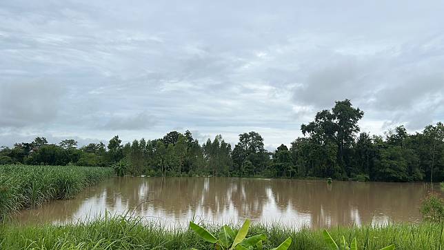 เตือนกษตรกรรับมือฝนตก