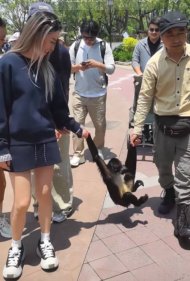豆豆平常就相當親人，尤其喜歡長髮女遊客。（翻攝上海野生動物園小紅書）