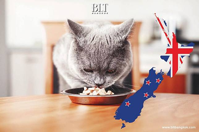 กรมการค้าระหว่างประเทศชี้อาหารแมวเติบโตสูงสุดในตลาดนิวซีแลนด์ช่วงโควิด-19