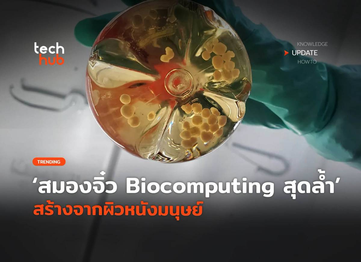 สมองจิ๋ว Biocomputing สุดล้ำ สร้างจากผิวหนังมนุษย์ | Techhub | LINE TODAY