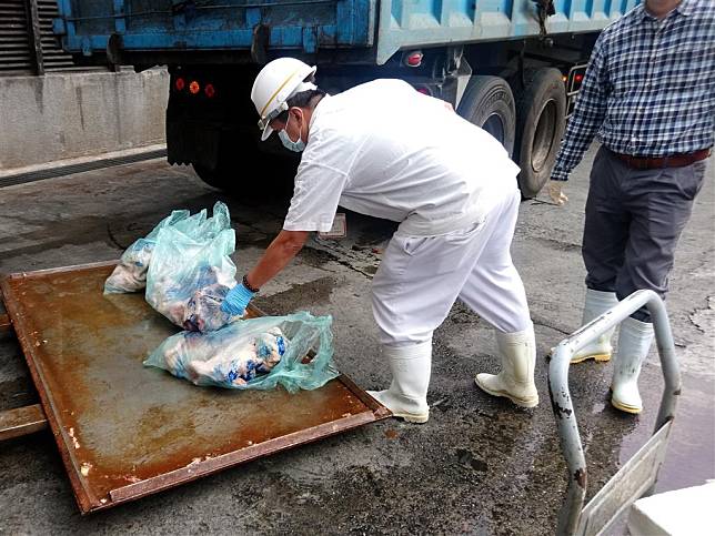 經檢驗禽流感陽性之雞隻屠體會依規定倒入染色劑後送化製銷毀。（圖片來源：臺北市動物保護處）