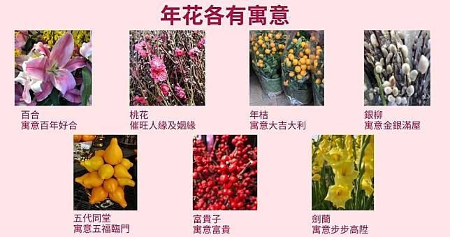 年花寓意（資料圖片/明報製圖）