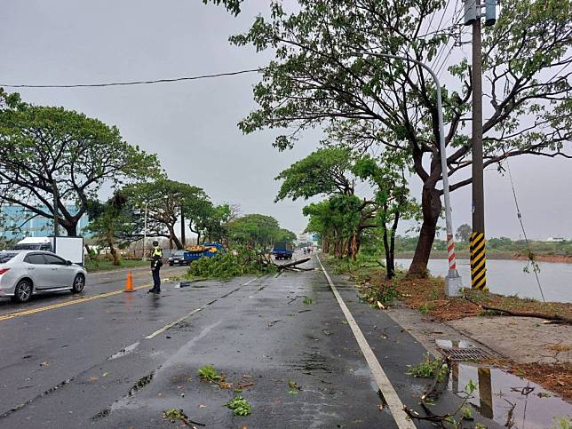 高雄吹強風下大雨，導致路樹倒在路中影響交通。（記者吳門鍵攝）