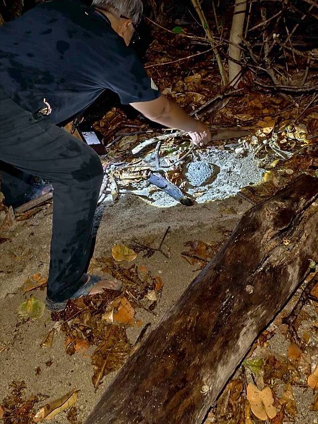 墾丁國家公園寄居蟹遭大規模盜捕，志工破壞陷阱。(後灣志工提供)