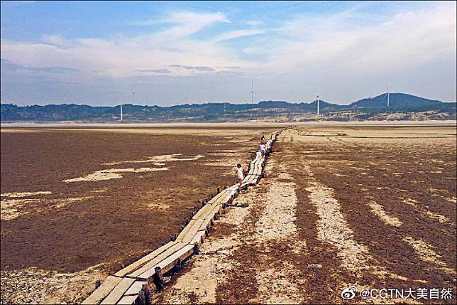 中國旱象未解，最大淡水湖鄱陽湖乎乾枯見底，明代石橋「千眼橋」露出真面目。(取自網路)