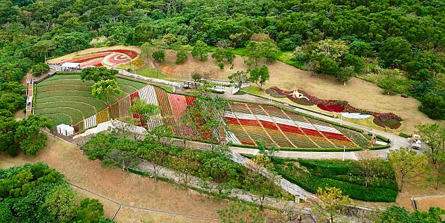 台版富良野「三層崎花海」盛開 大冠鷲地景守望花田