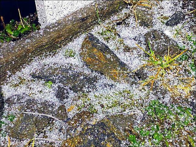 玉山北峰氣象站地面出現一顆顆的「冰霰」。(圖：氣象局北峰氣象站提供)