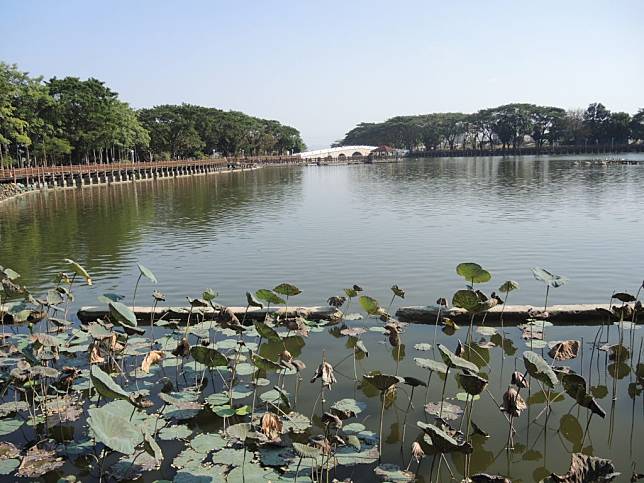 新營區天鵝湖親水公園景觀優美，吸引遊客造訪。（記者陳佳伶攝）