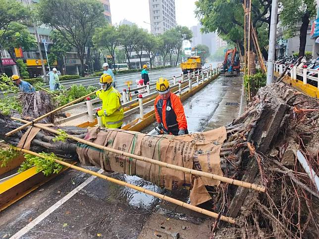 巴威颱風襲台，北市承德路有路樹倒塌，公園處緊急到場處理。（圖／北市公園處提供）