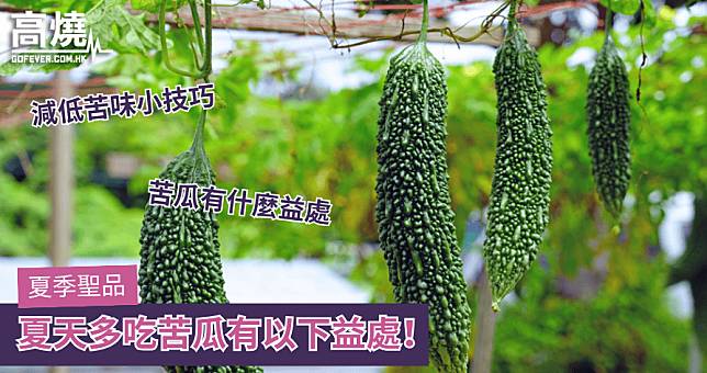 【苦瓜】夏季聖品 夏天多吃苦瓜有以下益處！