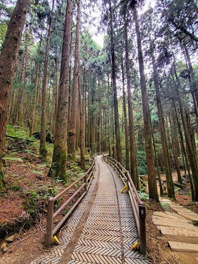 特富野古道。（中華旅行社提供）