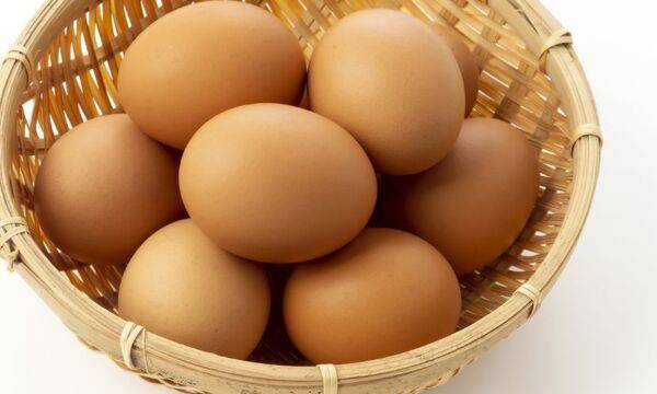 請把蛋「煮熟」再吃！不可忽略的６個蛋問題