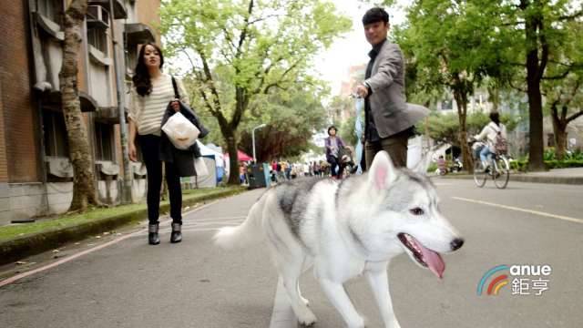 〈房產〉是校園也是公園 雙北這2所大學周邊住宅4字頭房價最親民