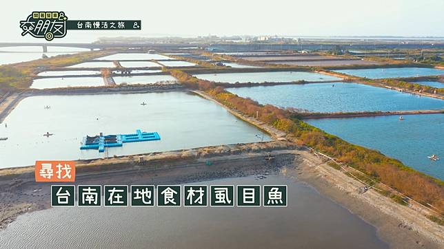 ▲旭海安溯水產生態養殖場（圖/ LINE TV） 