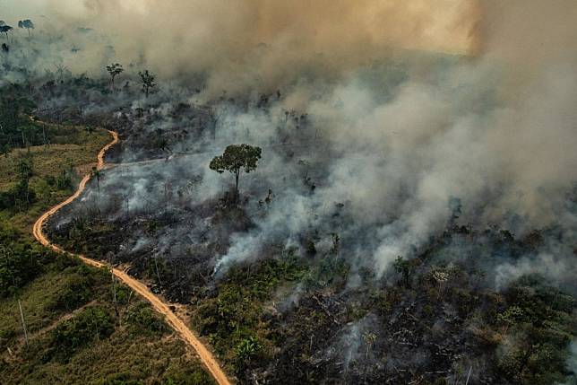 Wildfires are common in the dry season, but satellite data shows a record number so far this year with more than 75,000, most being in the Amazon region. Photo: AFP / Greenpeace / Victor Moriyama