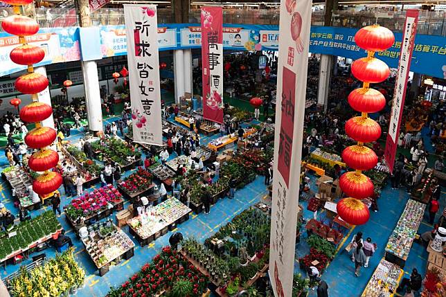 This photo taken on Jan. 22, 2025 shows a view of Dounan Flower Market in Kunming, southwest China's Yunnan Province. (Xinhua/Chen Xinbo)