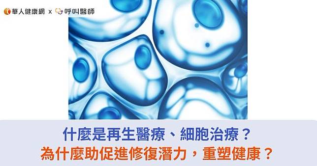 什麼是再生醫療、細胞治療？為什麼助促進修復潛力，重塑健康？