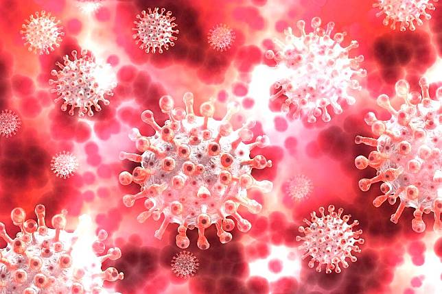 COVID-19新變種病毒逃避人體防禦系統 南非香港現病例