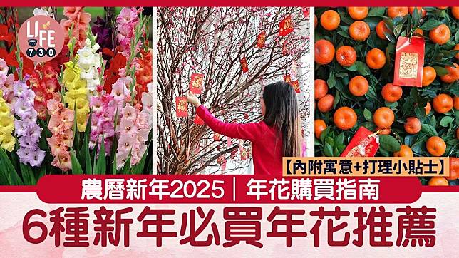 農曆新年2025｜6種新年必買年花推薦　內附寓意+打理小貼士