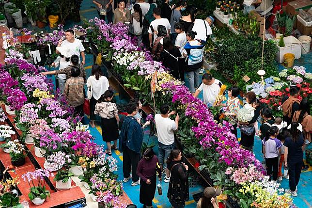 People visit Dounan flower market during the Mid-Autumn Festival and National Day holiday in Kunming, southwest China's Yunnan Province, Oct. 5, 2023. (Xinhua/Chen Xinbo)