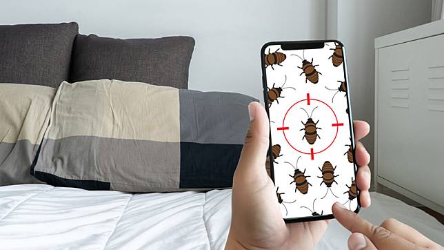 6 วิธีกำจัดตัวเรือด แมลงร้ายบนที่นอนให้สิ้นซาก