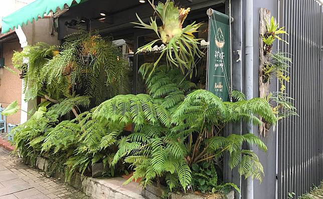 台南安平景點推薦！踏入隱身安平老街的3間特色咖啡廳，感受南國專屬的靜謐風光