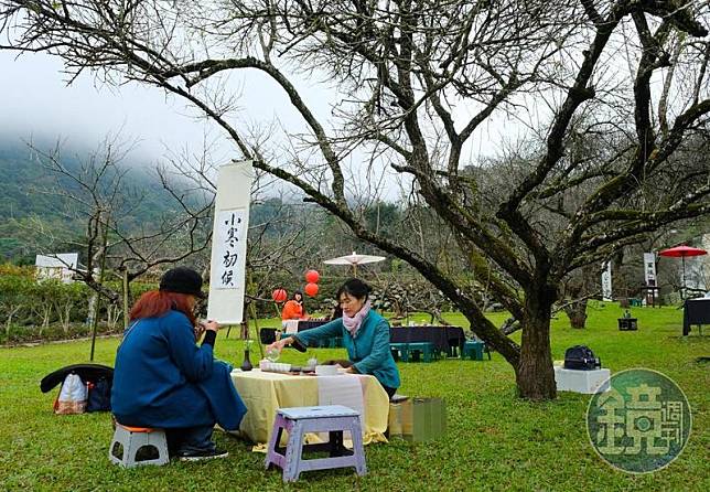 梅花季一到，不少茶藝協會專程來「國姓私房餐廳」梅園借場地、辦品茗活動。