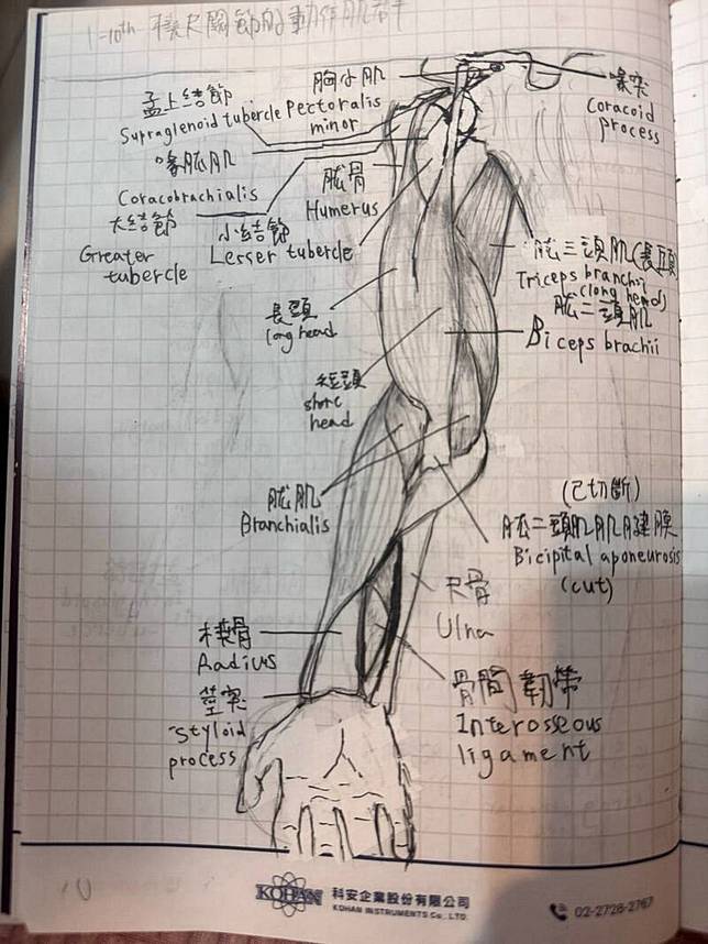 胡鈞翔的人體解剖圖維妙維肖。(記者洪臣宏翻攝)
