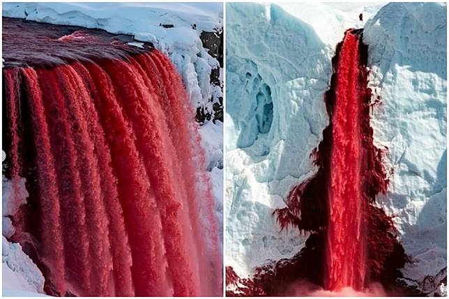 南極泰勒冰川（Taylor Glacier）的血瀑布（Blood Falls），因血紅色水流聞名。（翻攝自somewhereiwouldliketolive@IG）
