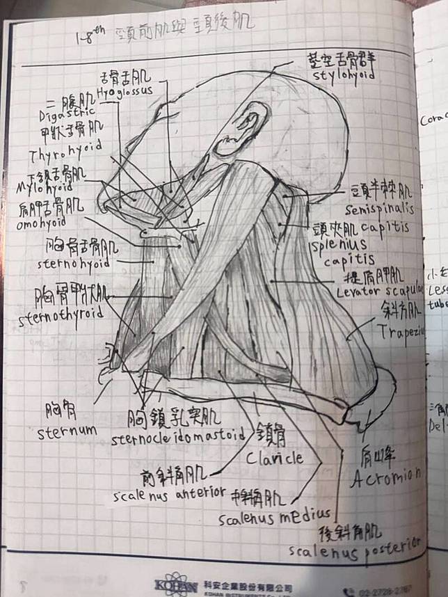 胡鈞翔的人體解剖圖吸引網友轉發。(記者洪臣宏翻攝)