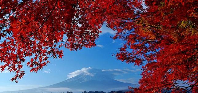 富士山 箱根 紅葉