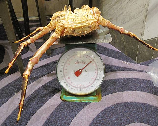 海關揭發3間食肆的亞拉斯加蟹涉嫌「呃秤」。海關提供