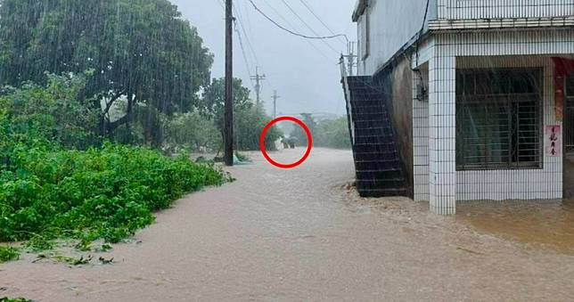 憂妻子跌倒！金山翁暴雨返家拿竹竿　為救妻也遭沖走雙亡…遺體找到了