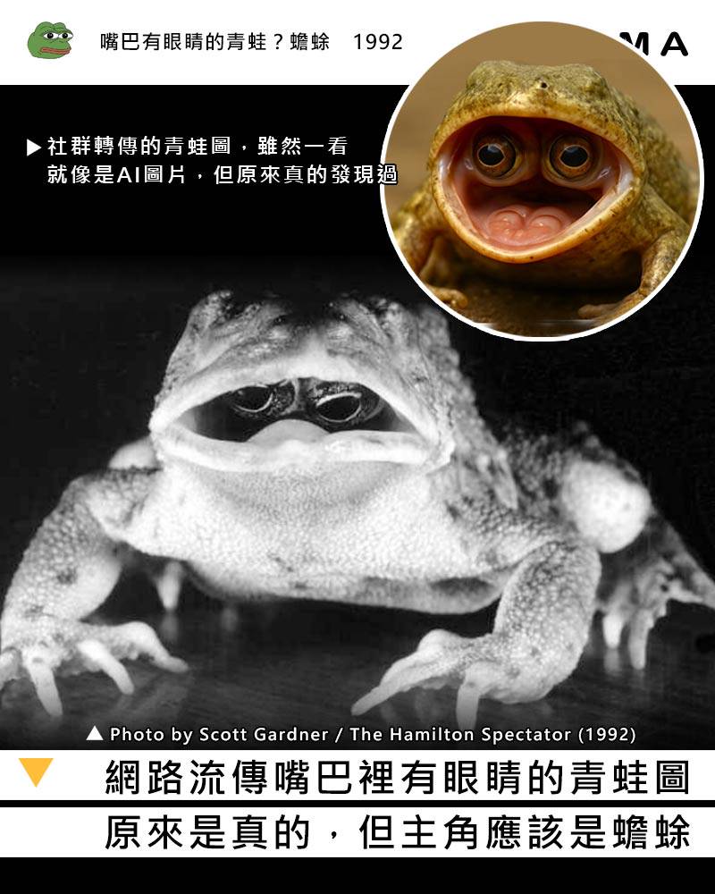1992 年攝影師拍下嘴巴有眼睛的蟾蜍| 阿尼尛Anima | LINE TODAY
