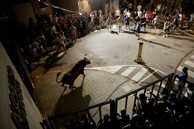 圖為日前西班牙瓦倫西亞北部一處村莊卡佩薩（Carpesa）舉行的「bou embolat」奔牛節，活動曾在2016年被禁止，只到近年才恢復辦理。（路透社）